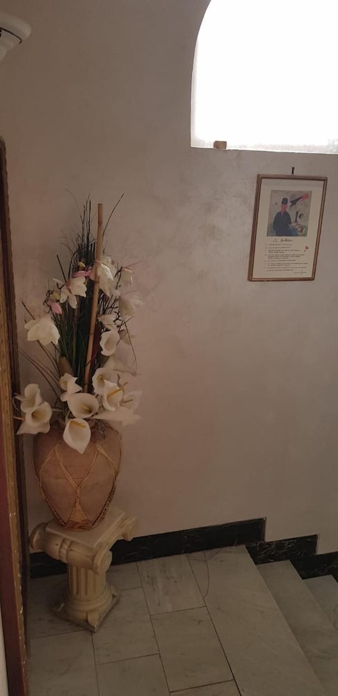 Фото Hotel Britannia