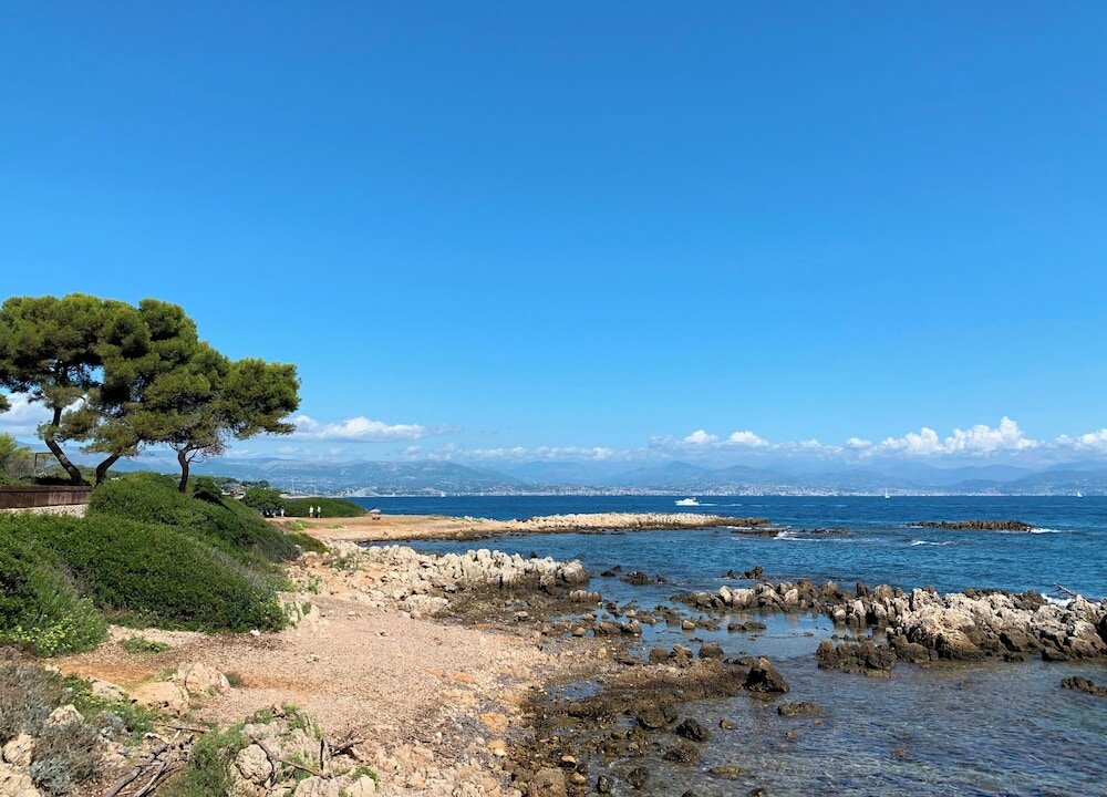 Фото The Originals Boutique, Hôtel Les Strélitzias, Antibes