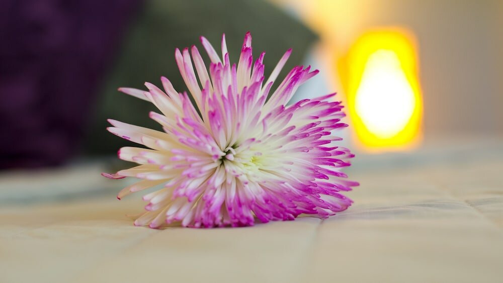 Фото Costa Esmeralda Village