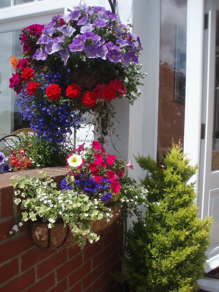 Фото The Langtons Bed & Breakfast