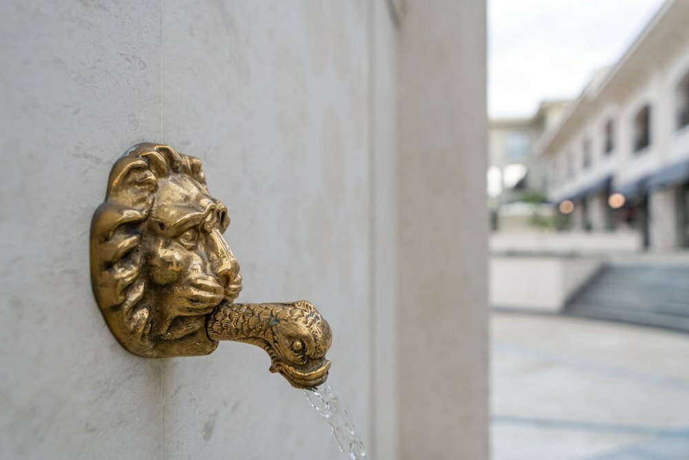 Фото Primorski Hotel