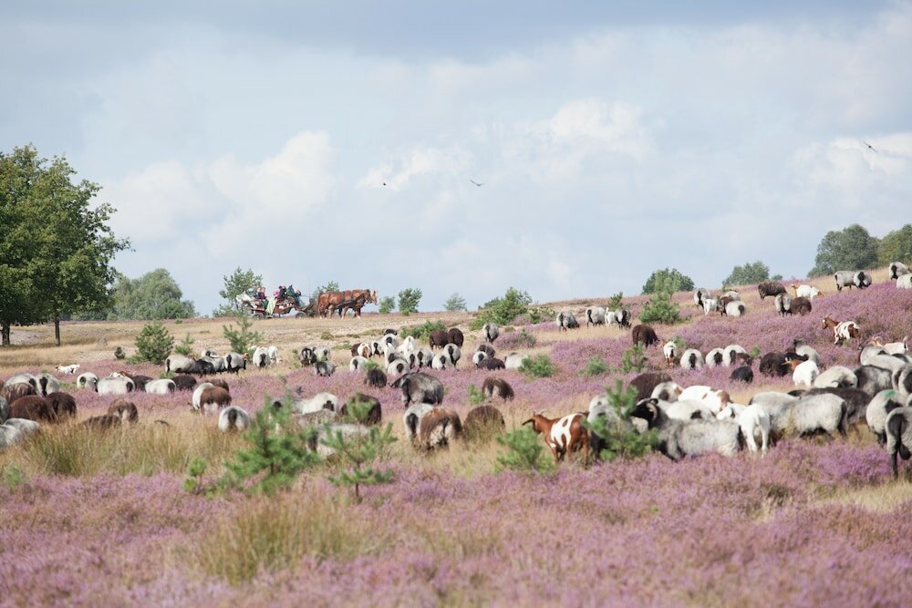 Фото Hotel Park Soltau