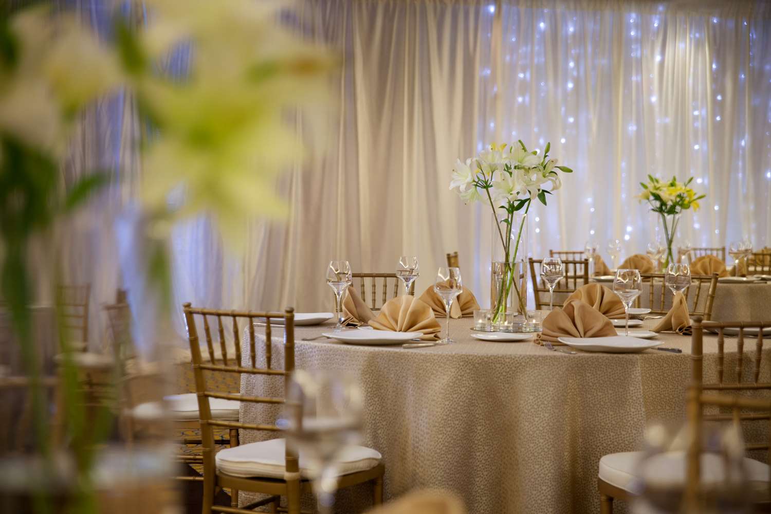 Фото Hilton Arlington