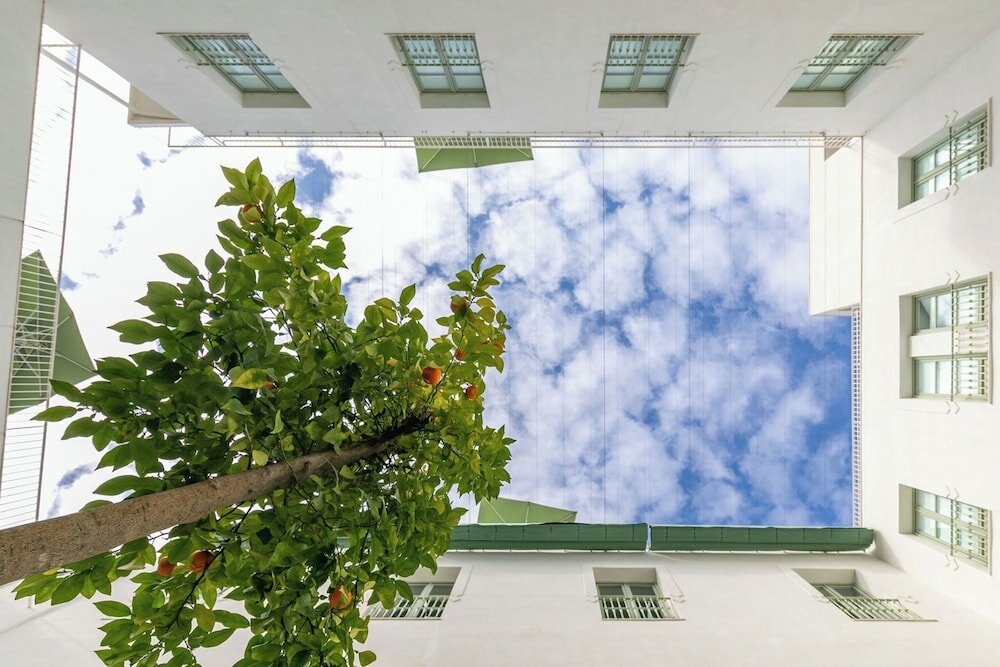 Фото Los Salados apartment HoldayRentals