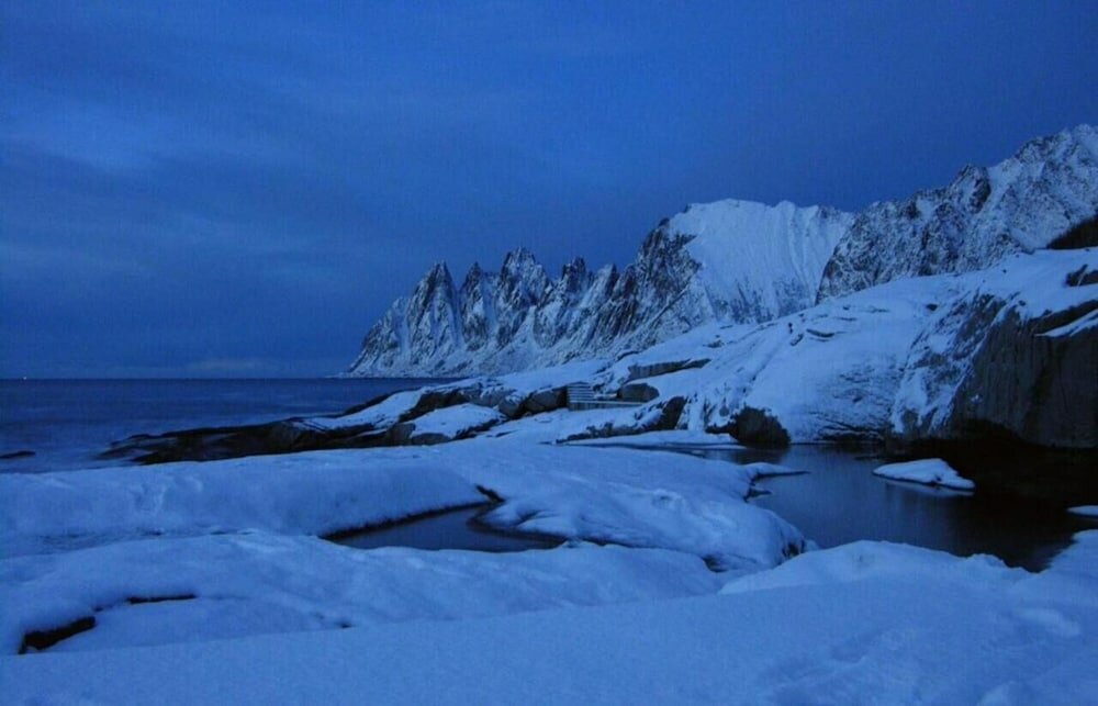 Фото Senja Hotell