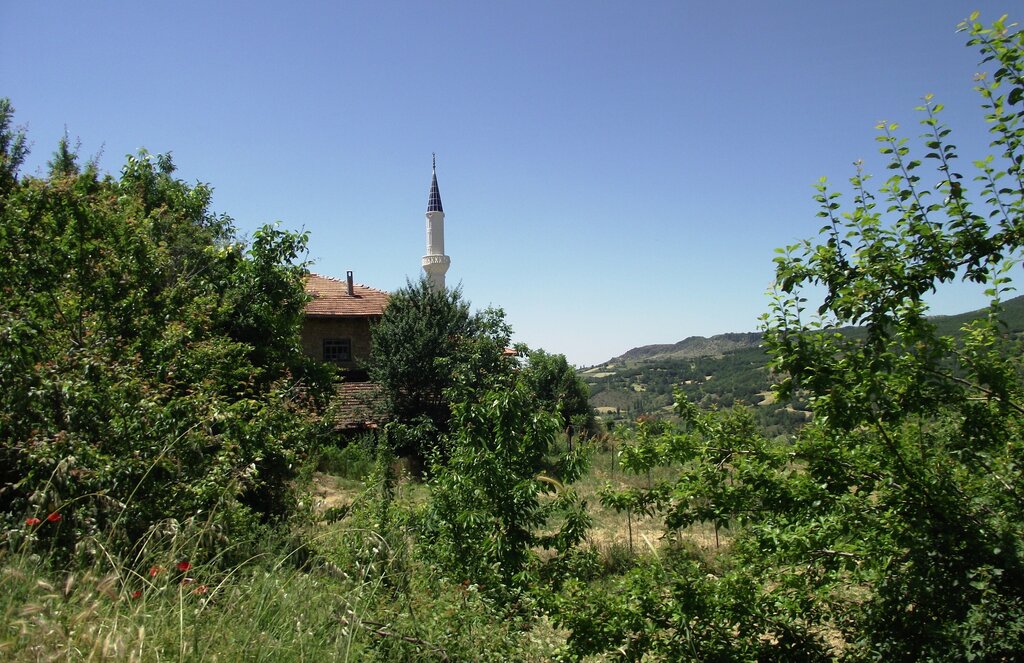 Mosque Camyuva Village Sihhasan Neighborhood Mosque, Usak, photo
