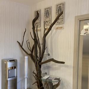 Фото Сибирский турист