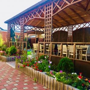 Фото Стрекоза