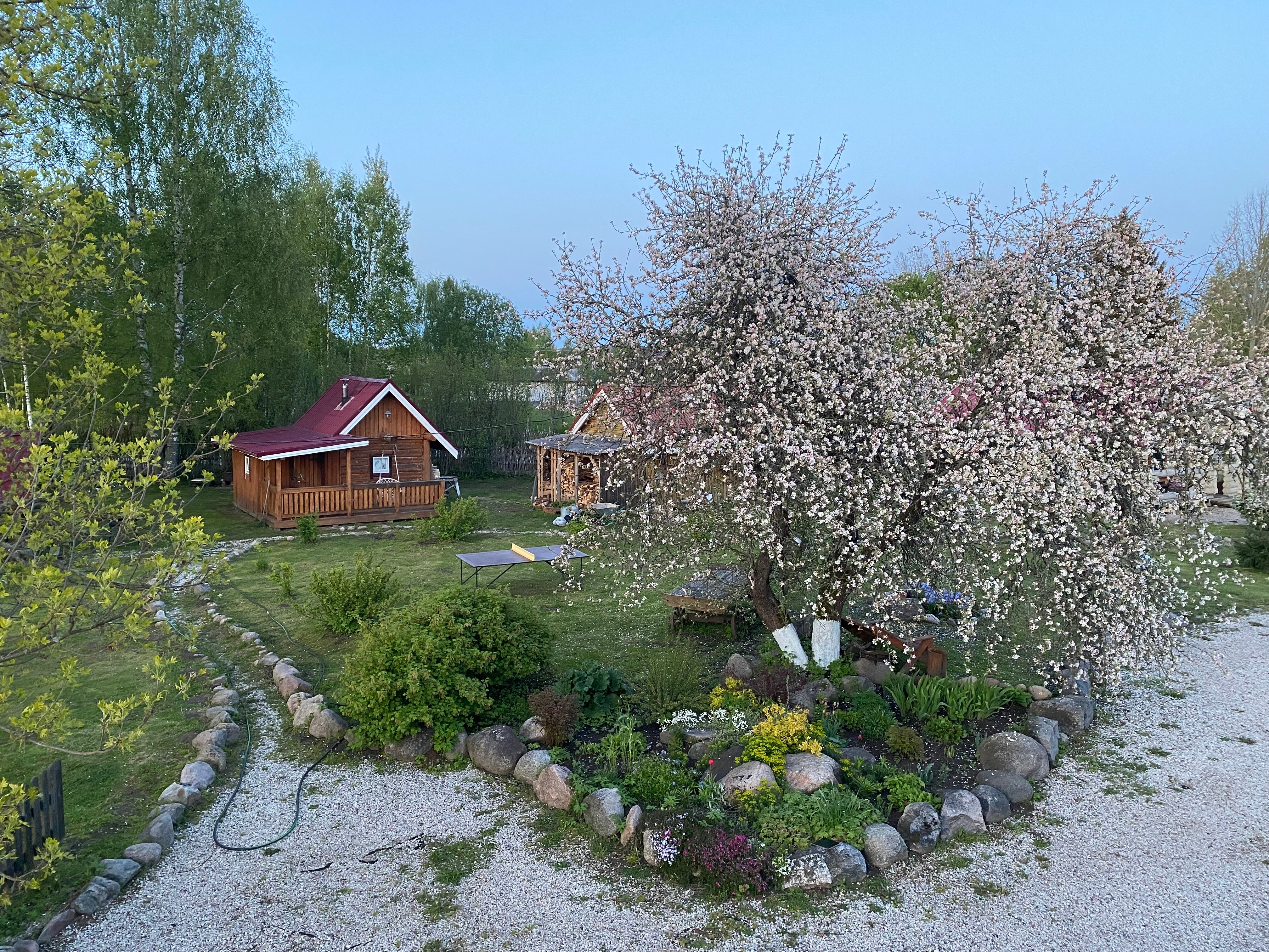 Фото Пушкинские горы