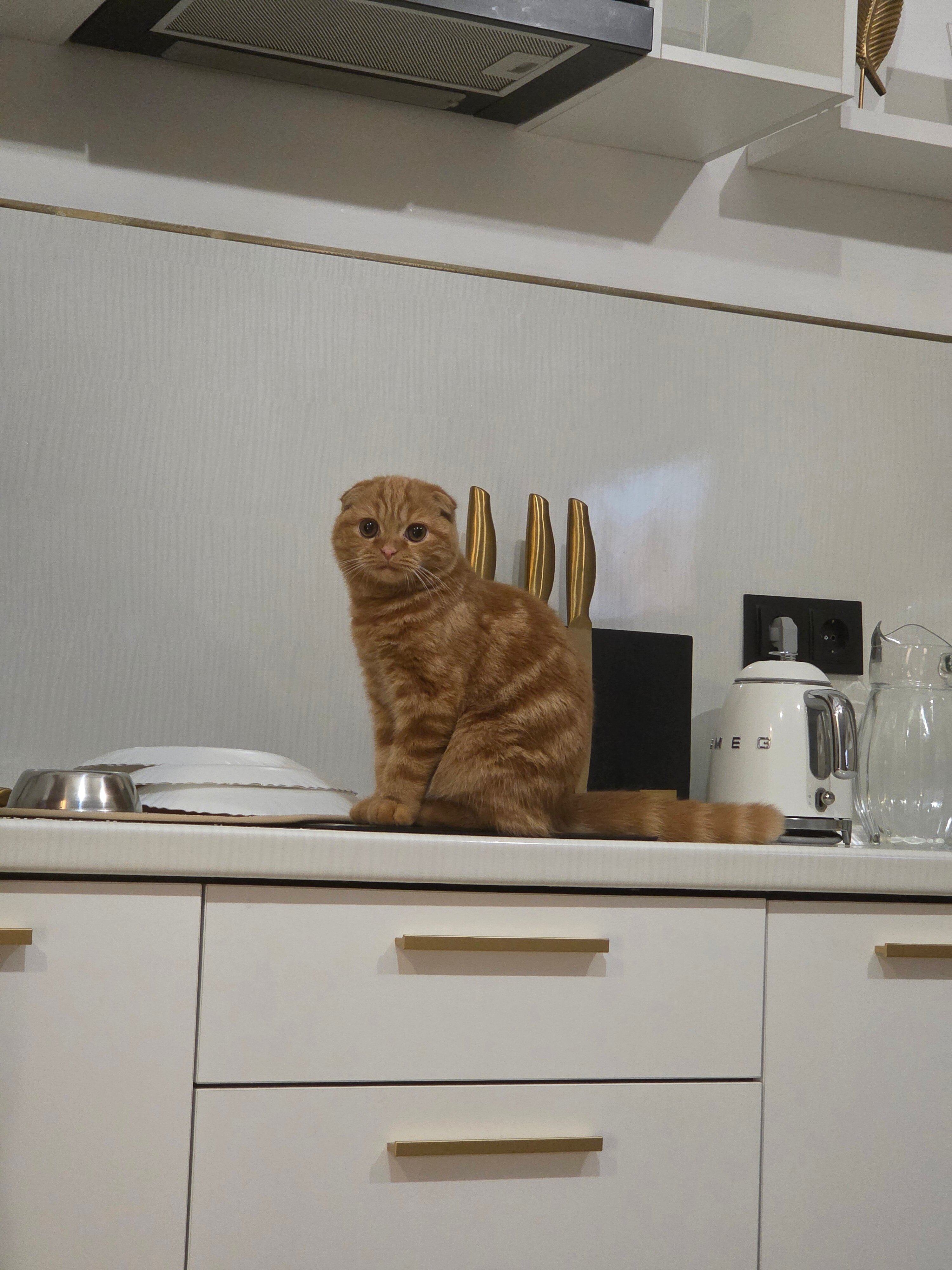 Фото Golden Sand