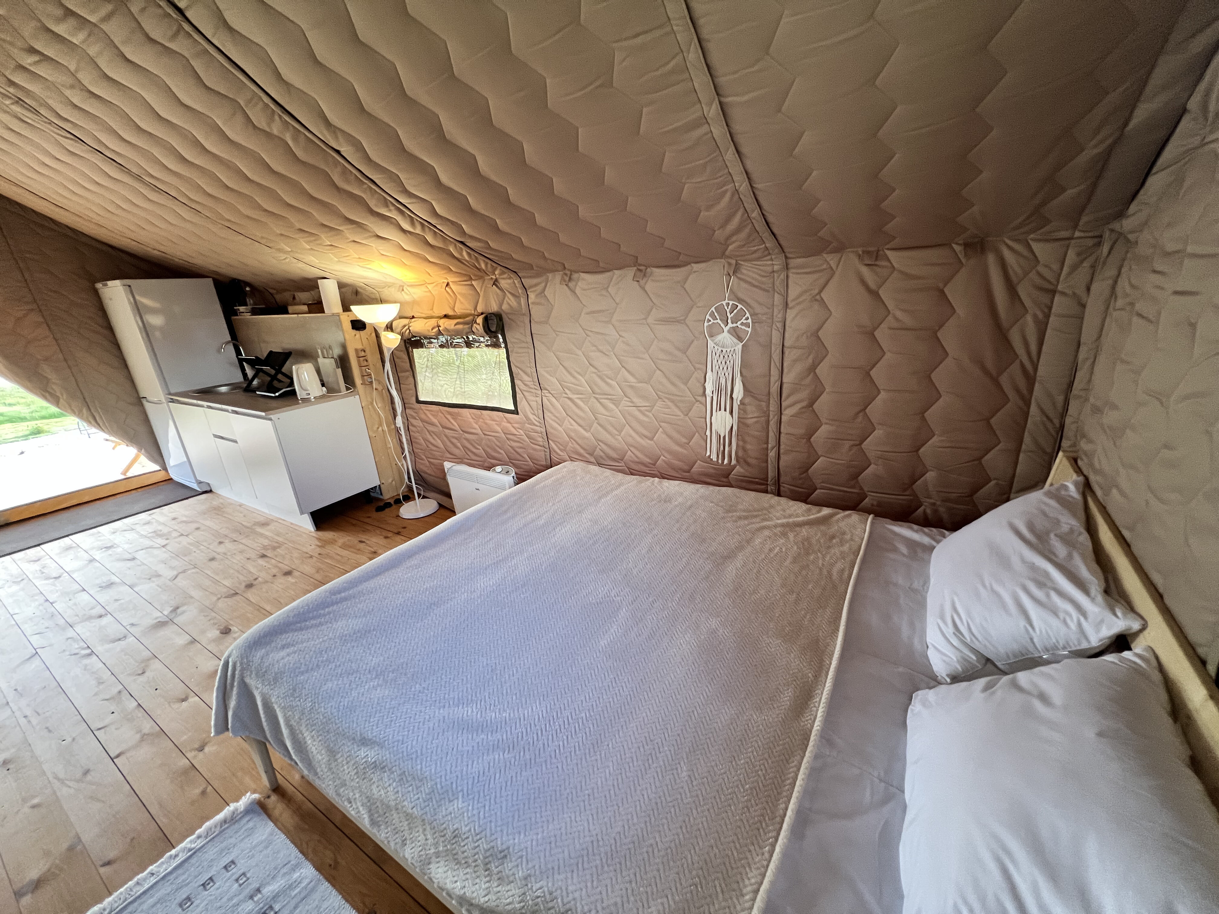 Фото Птички