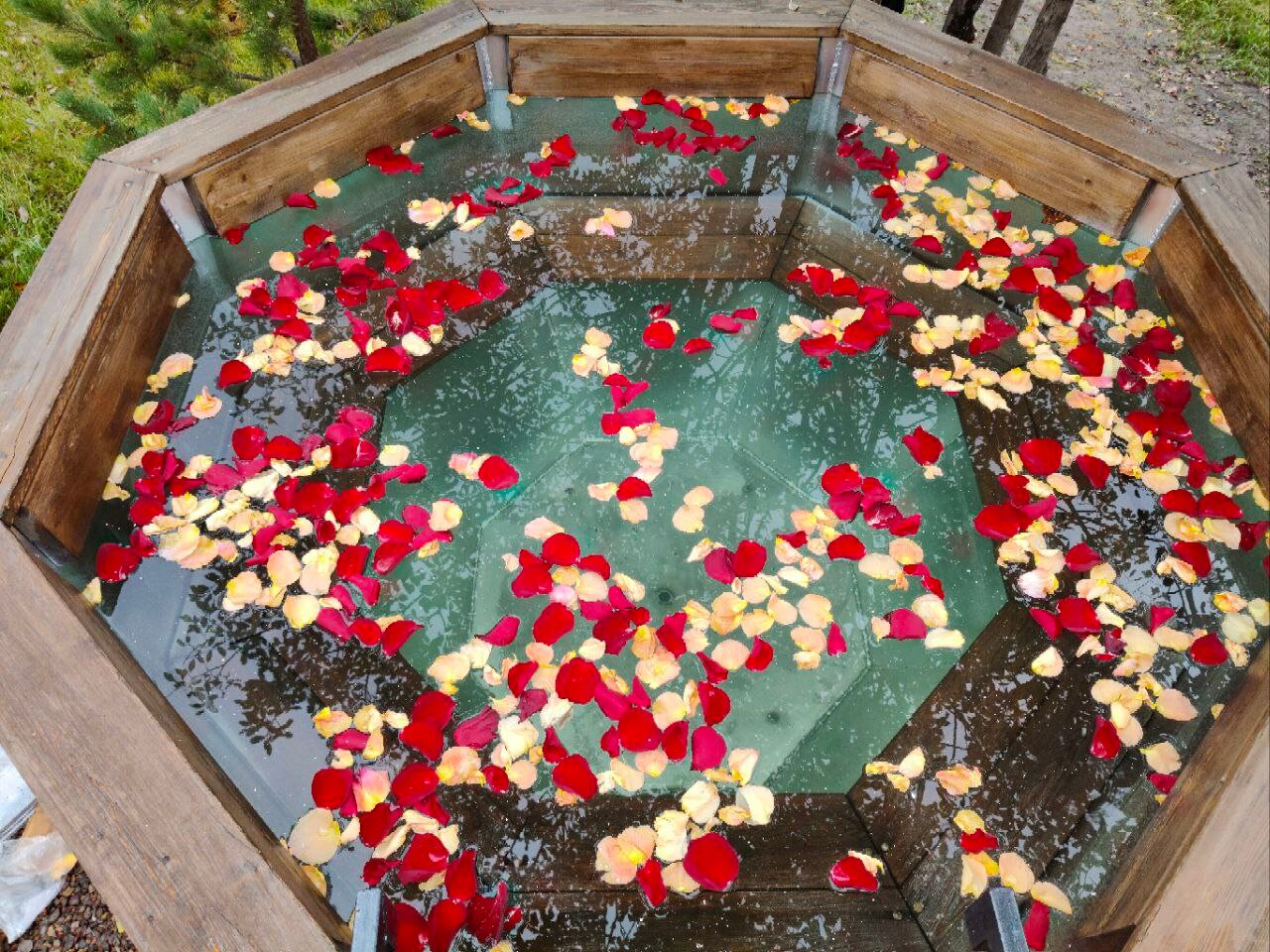 Фото Вдохновение природы