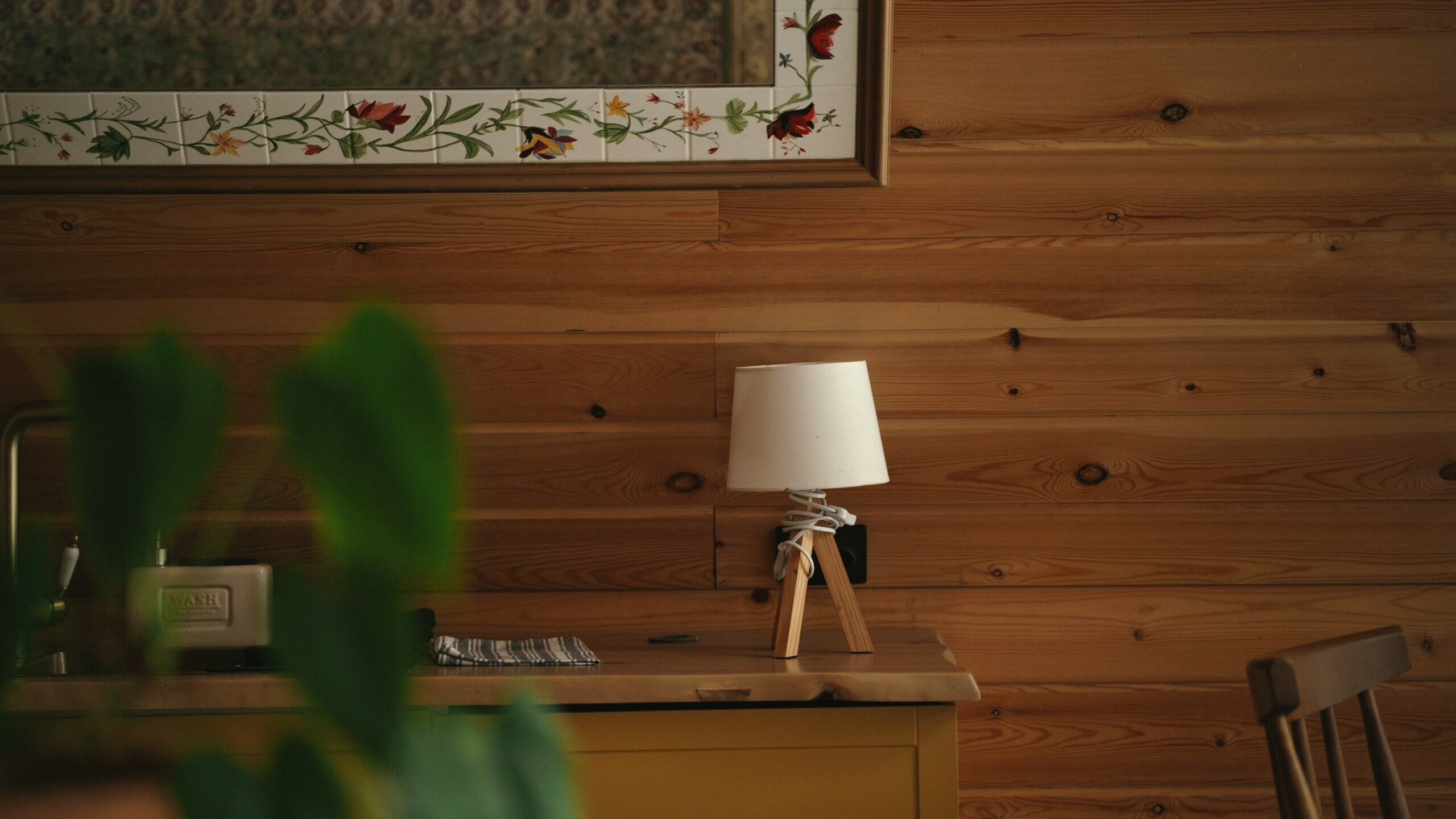 Фото Место под соснами