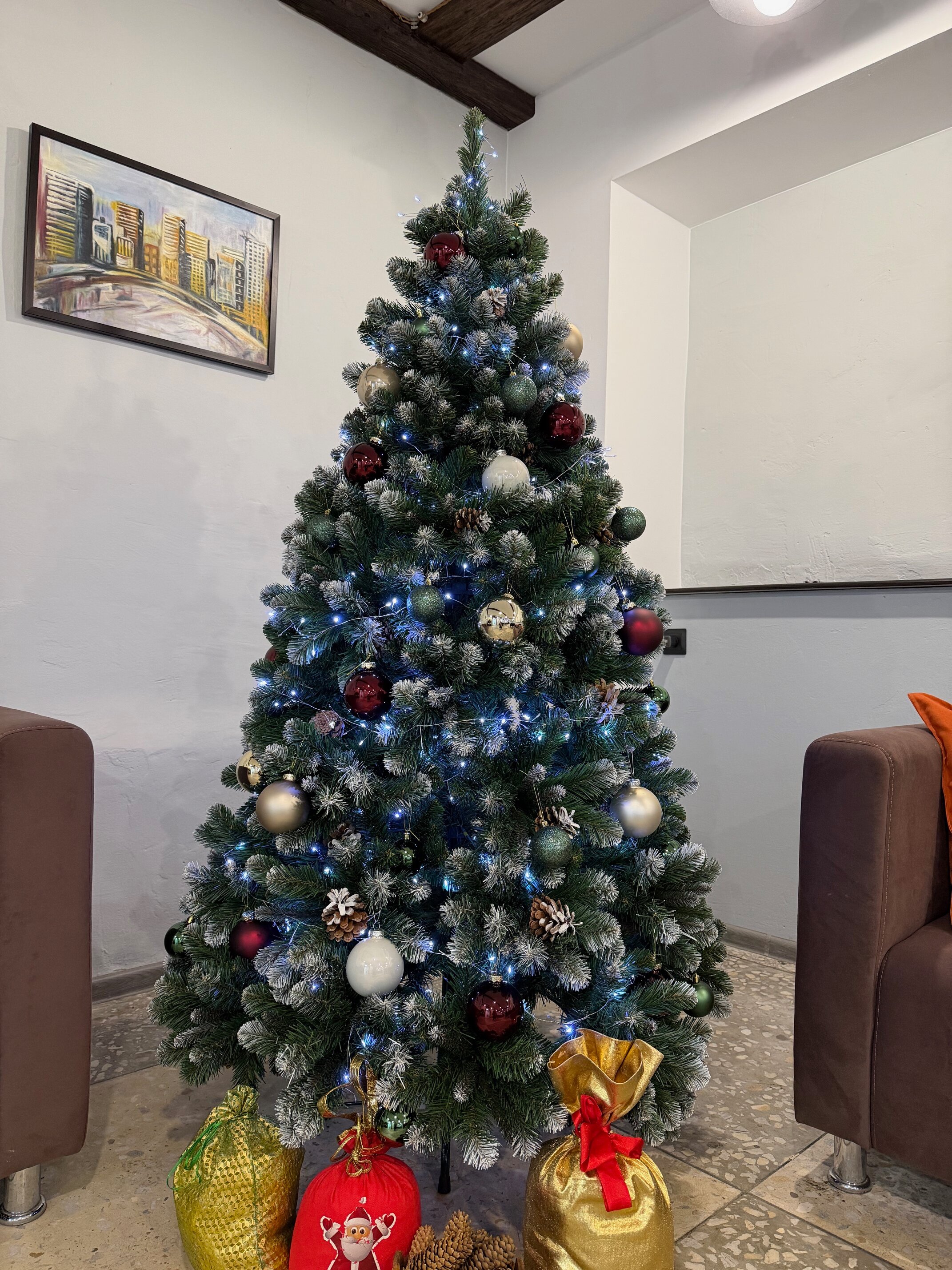 Фото Платон