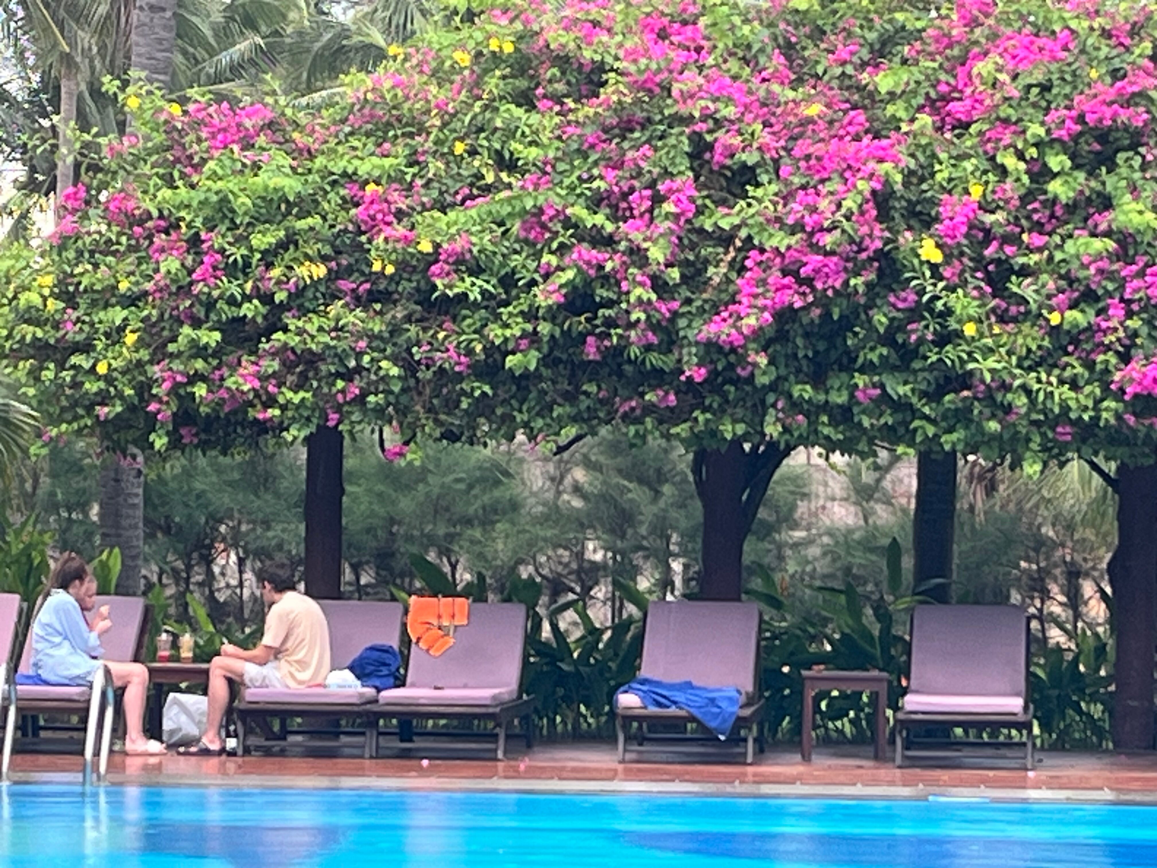 Фото Sunny Beach Resort