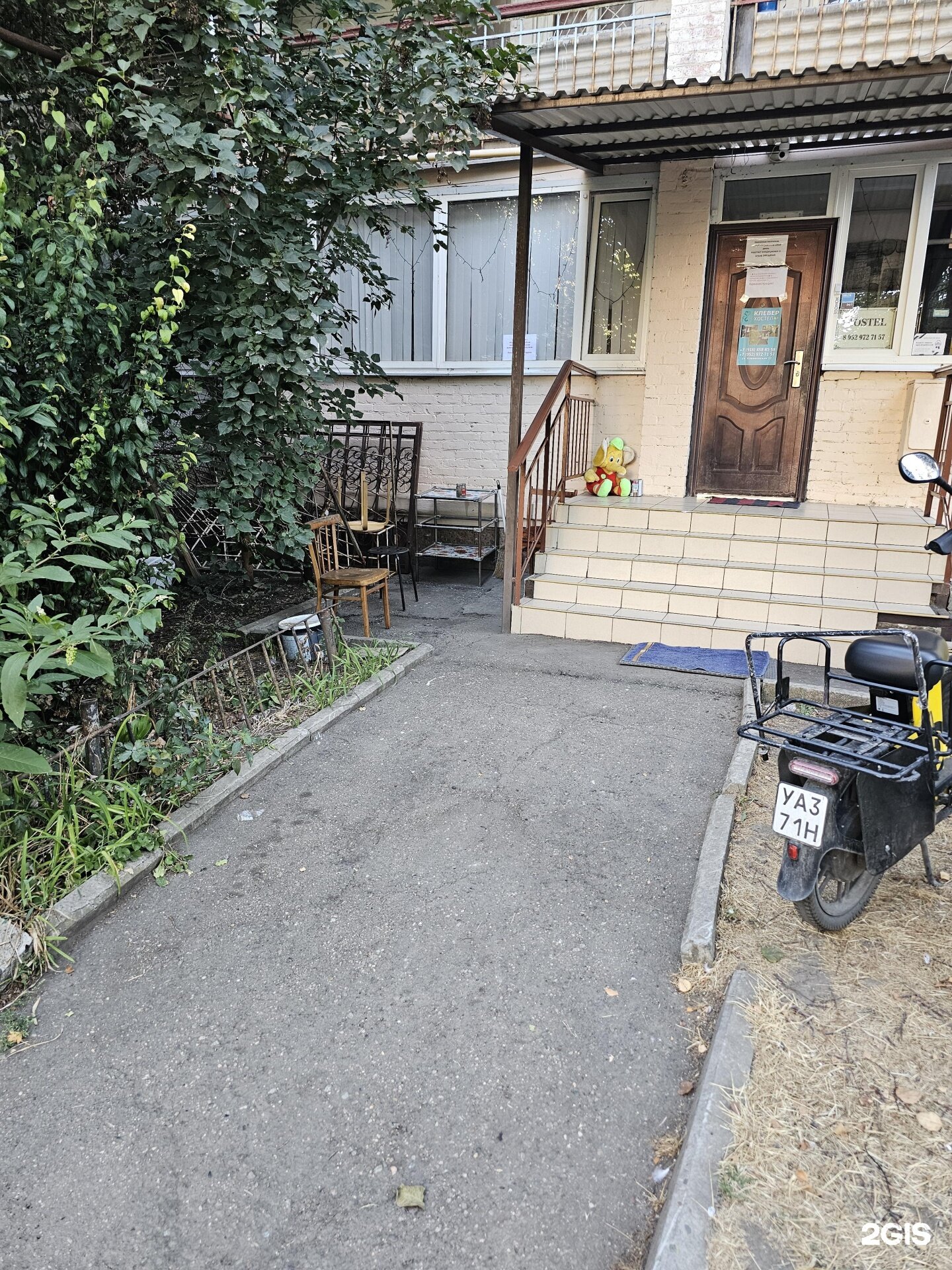 Фото Клевер