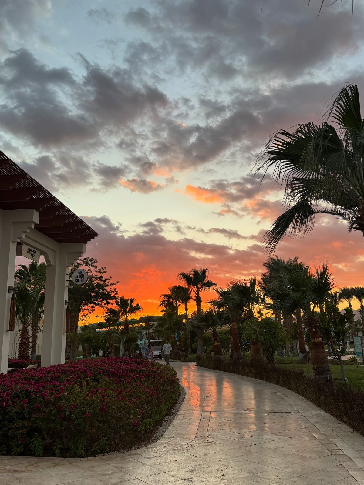 Фото Swissotel Sharm El Sheikh All-Inclusive Collection Resort