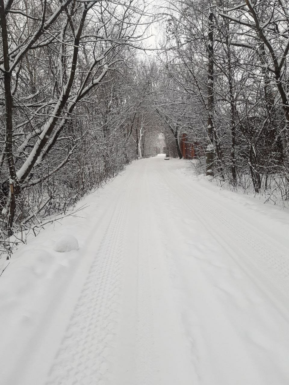 Фото Глобус