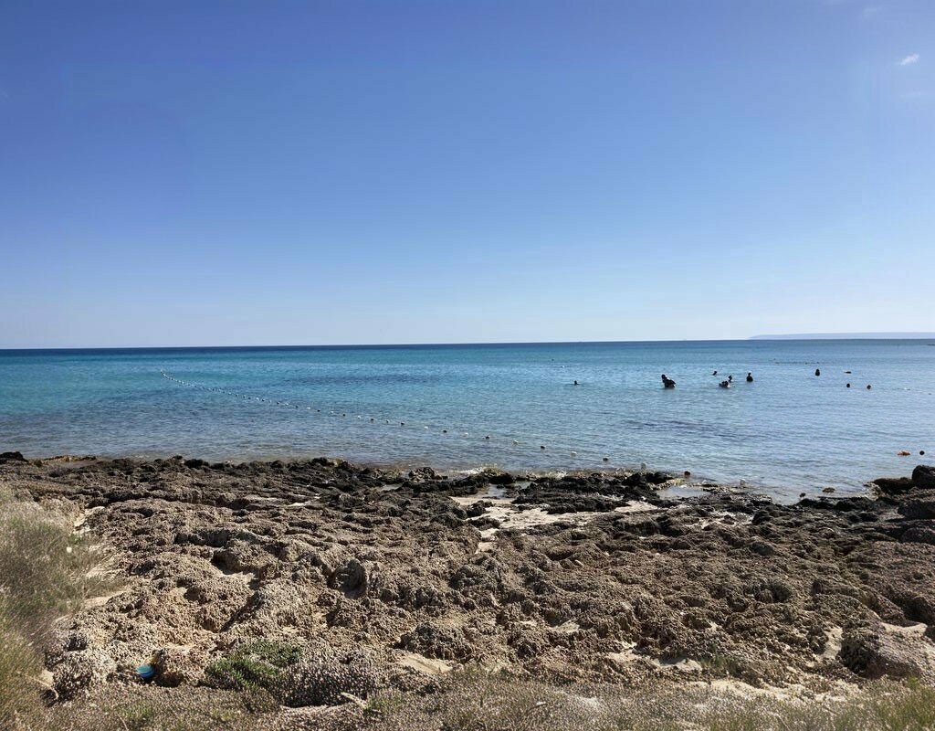 Cafe Father's Place Altinkum, Izmir, photo