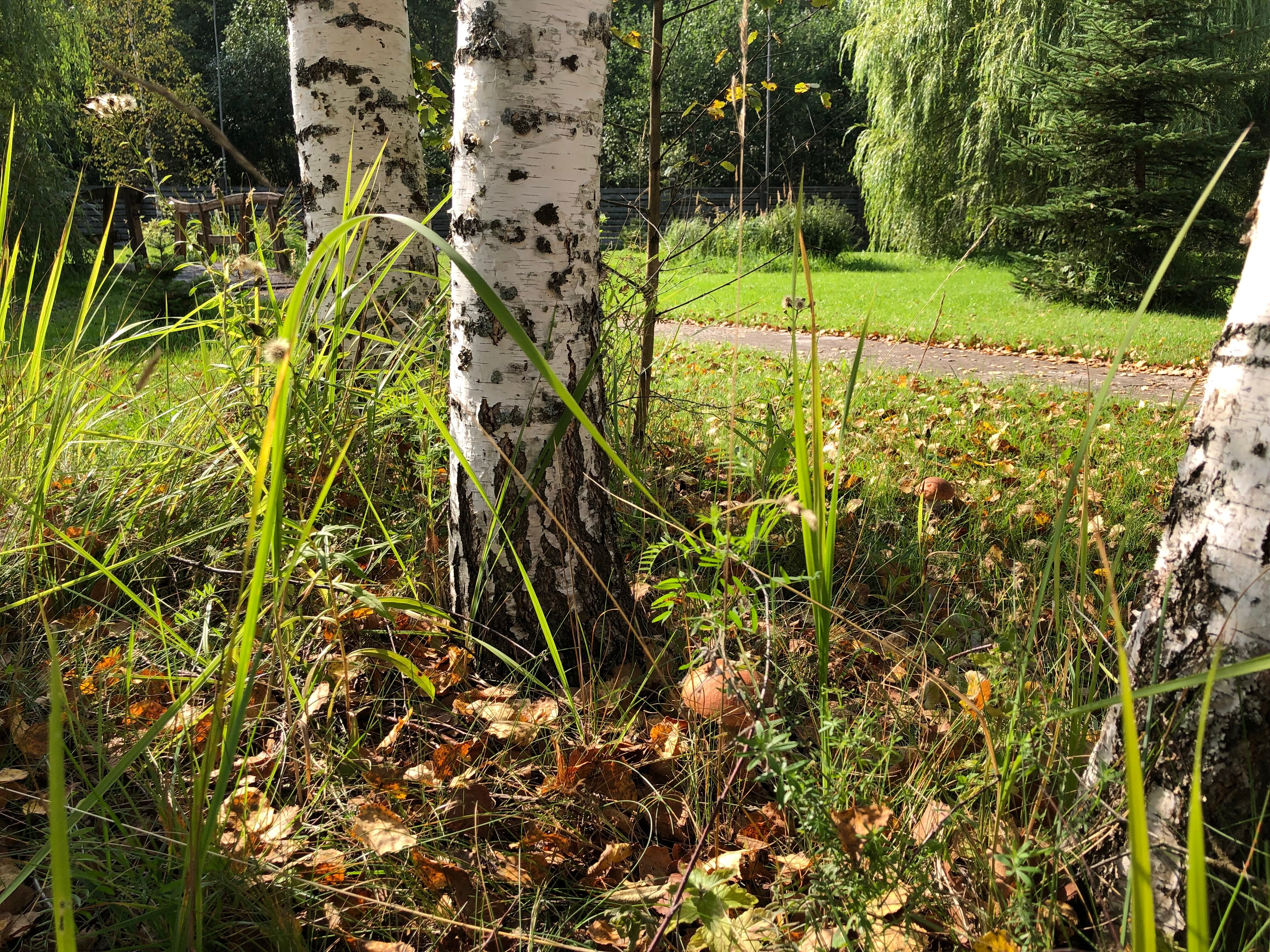 Фото Поместье