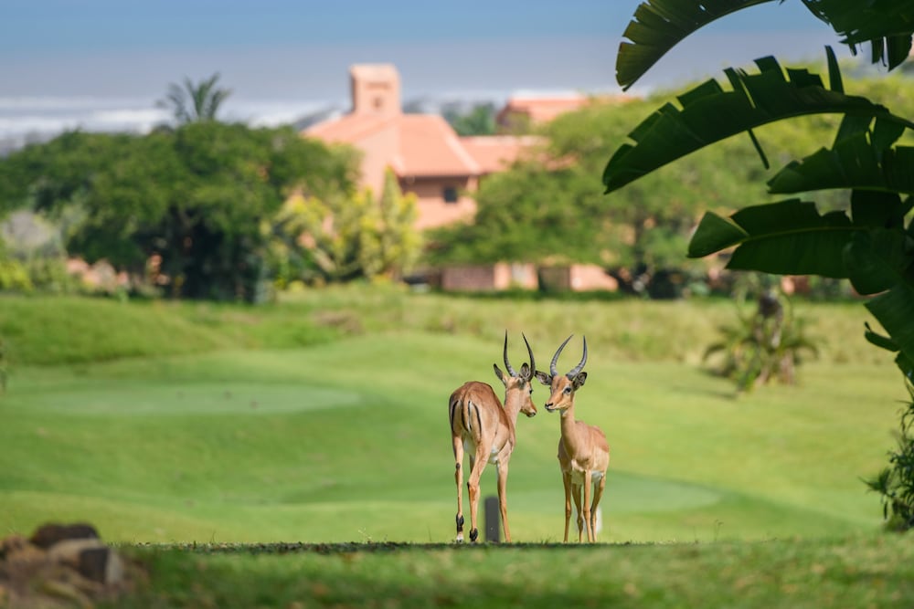 Фото San Lameer Villa Rentals 10901