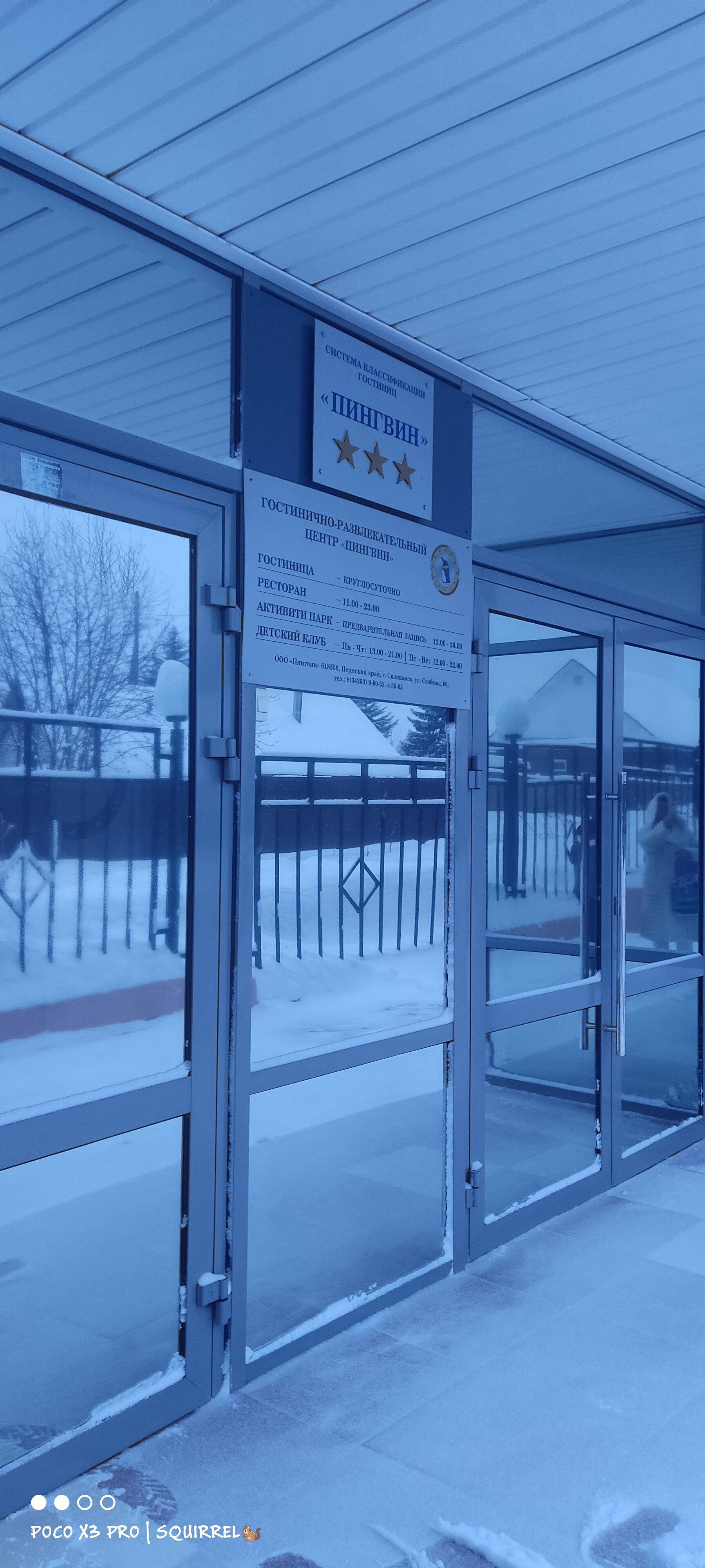 Фото ПингвиН