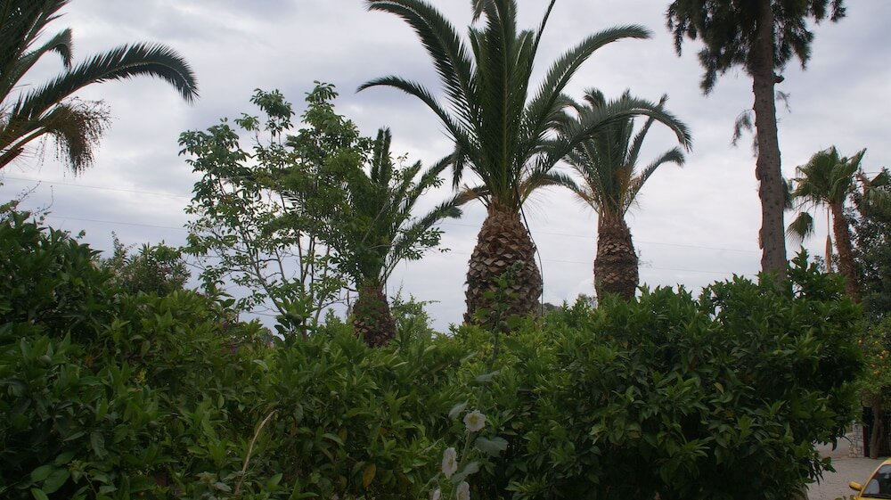 Фото Villa Christina