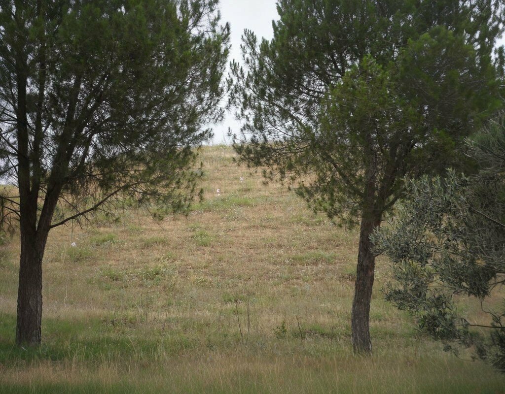Landmark, attraction Gyges Tumulus, Salihli, photo