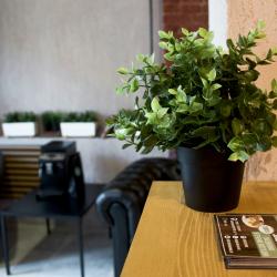 Фото Номера на Сенной