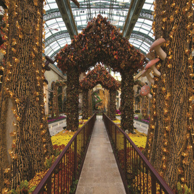 Фото Bellagio Hotel