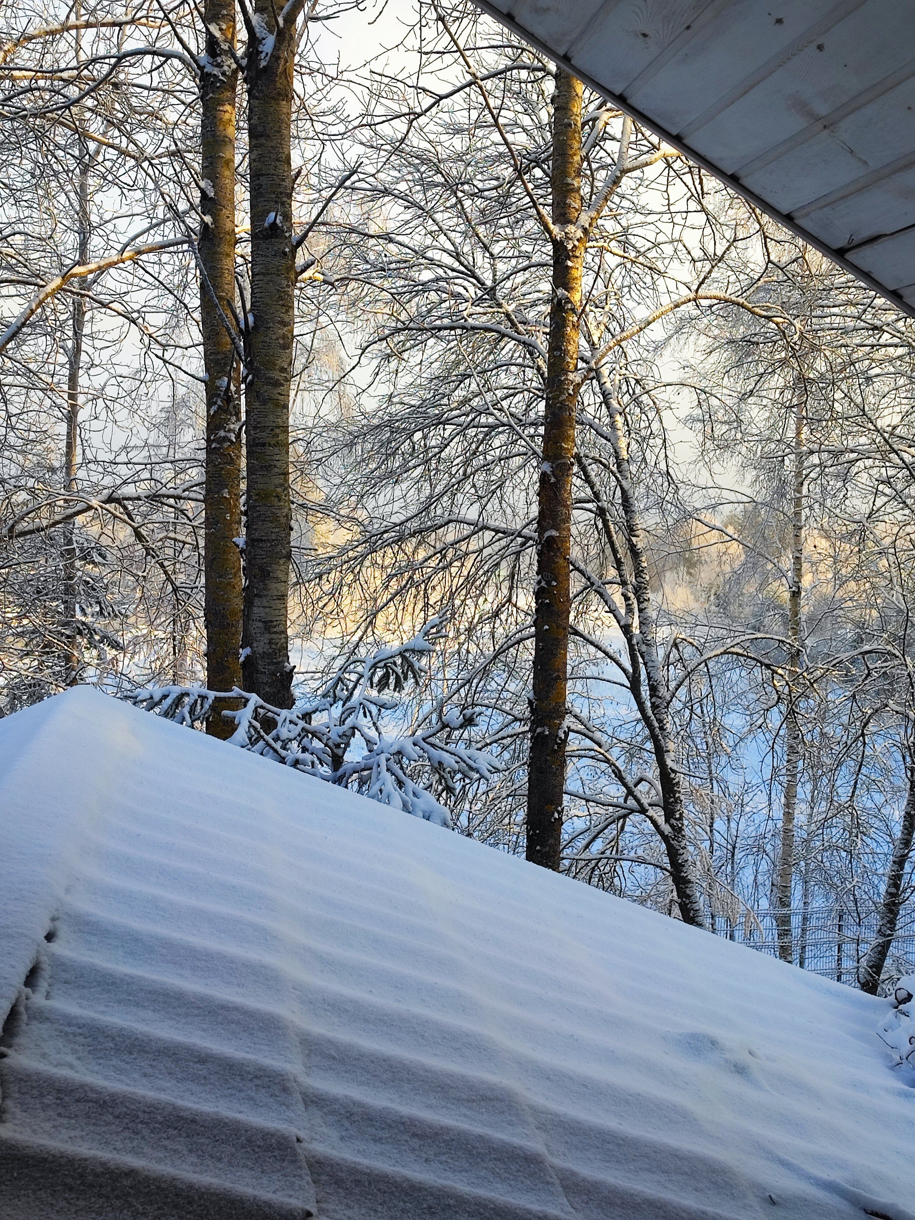 Фото Коттедж Рябиновка