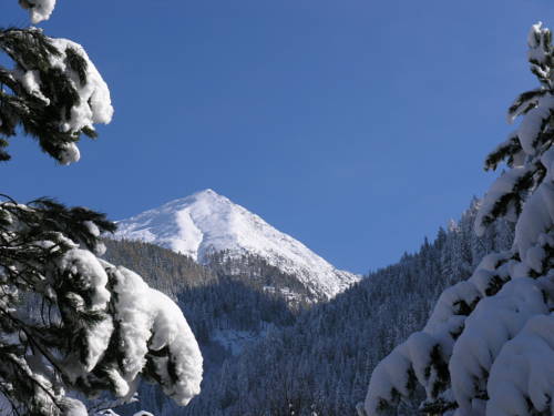 Фото Alpenhotel Simader