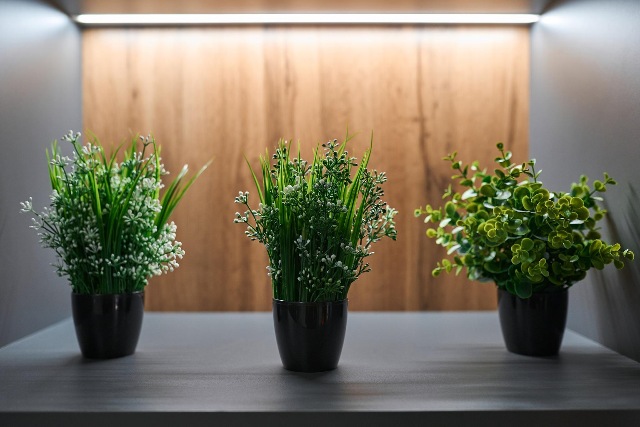 Фото Премьер