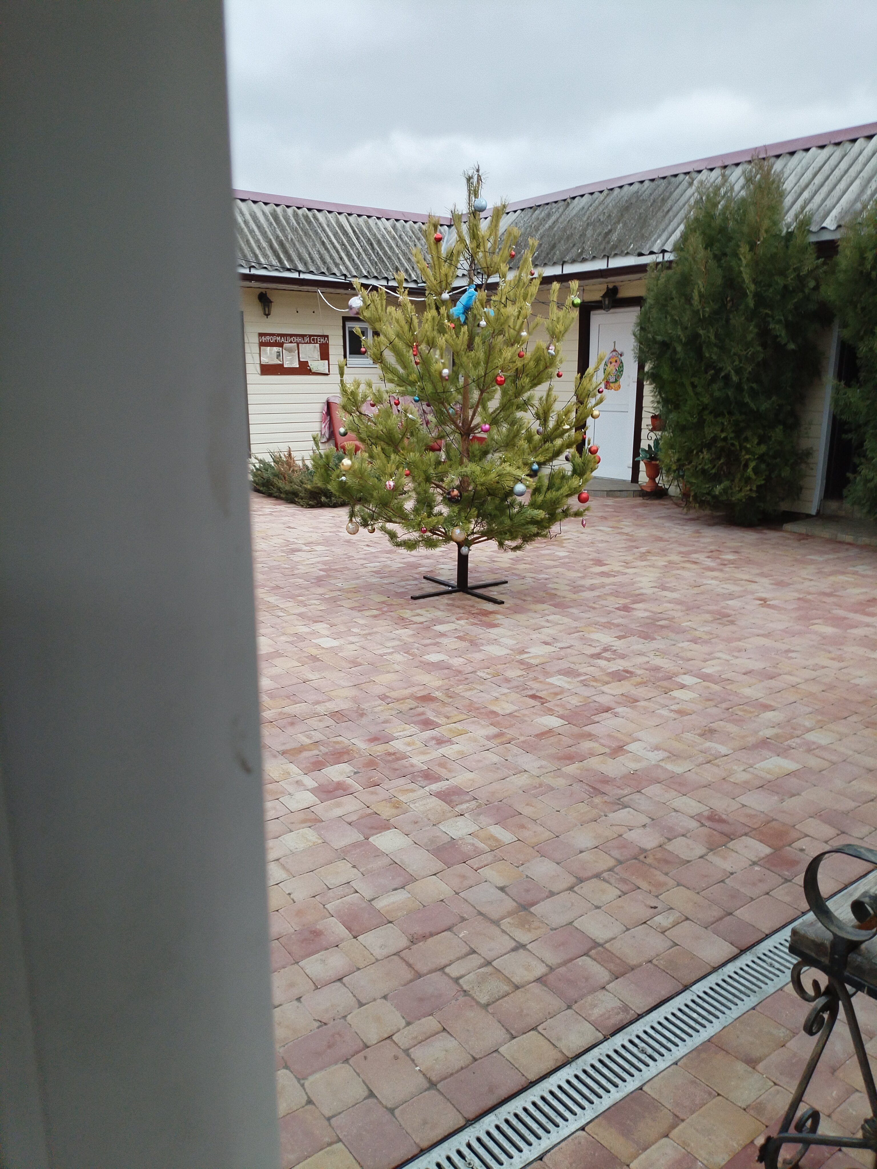 Фото Татьянин день