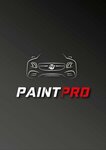 PaintPro (Leningrad Region, Vsevolozhckiy DIstrict, Sertolovo, garazhny kooperativ Motor, 2-y proyezd), pintura del coche
