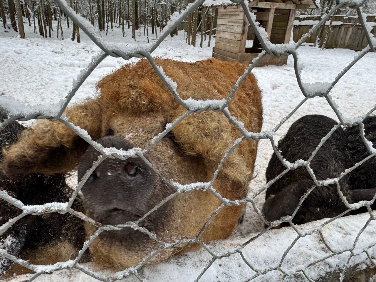Фото Тайны Юронги