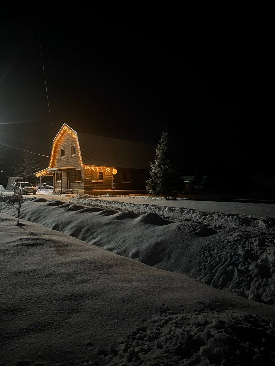 Фото Морошка