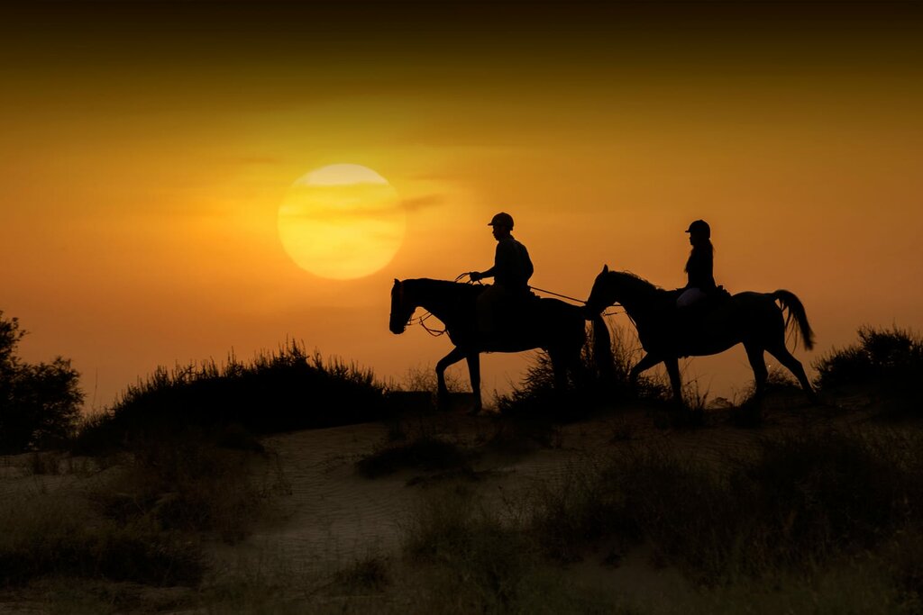 Horse harness Horses Station Equestrian, Dubai, photo