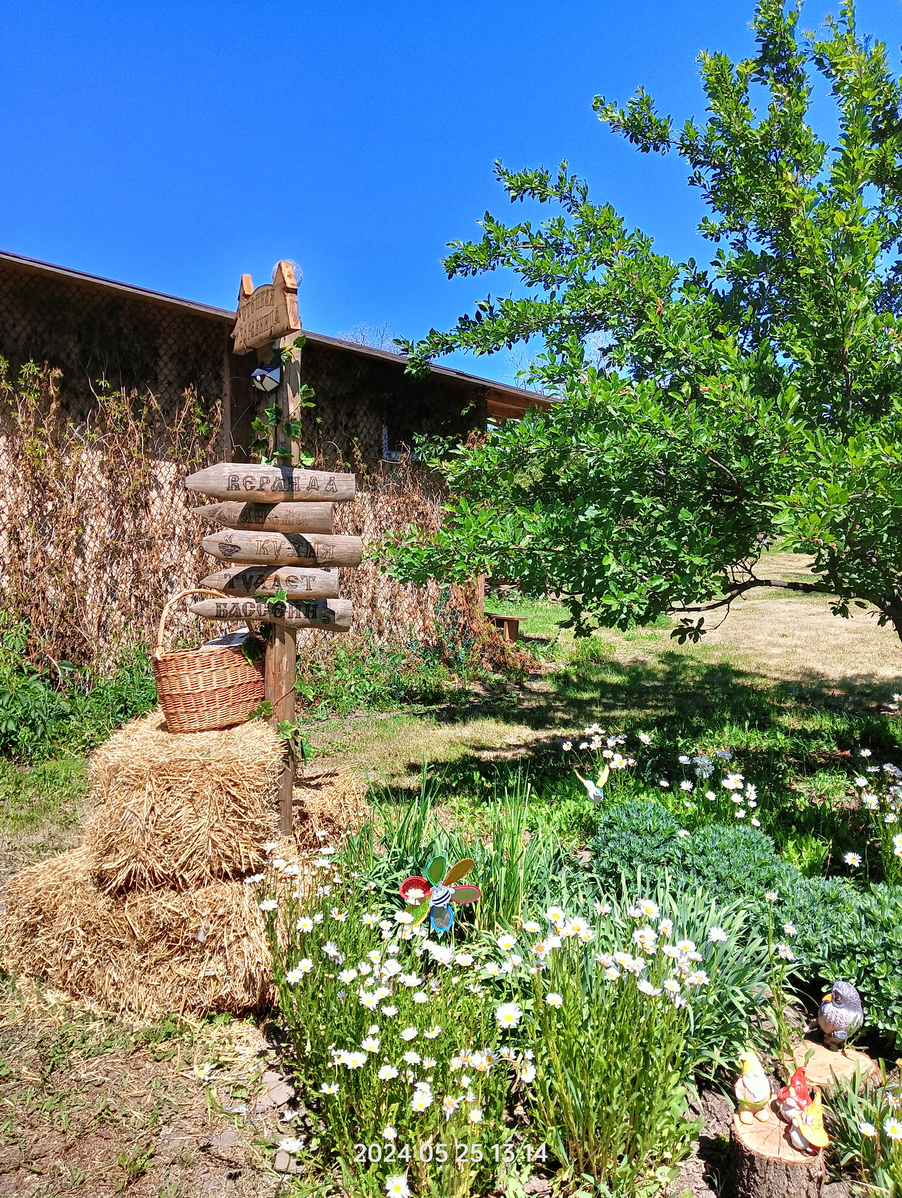 Фото СтепнаяЗдравница