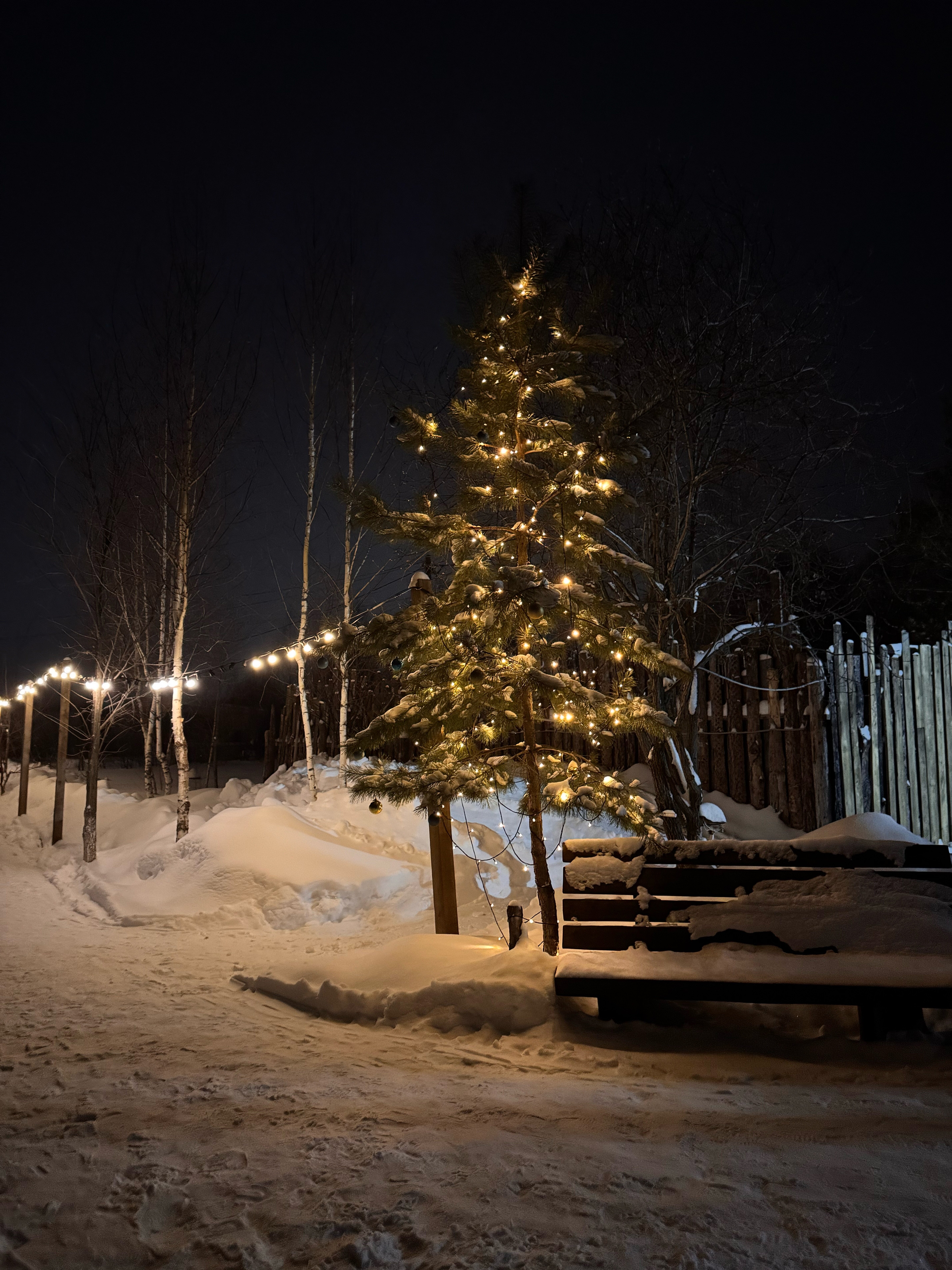 Фото Скандинавия