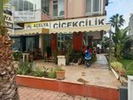 Antalya Açelya Çiçek (Анталья, Муратпаша, бульвар Бюлент Эджевыт, 17), магазин цветов в Анталье