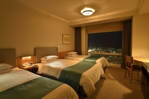 Гостиница Hotel Nikko Niigata
