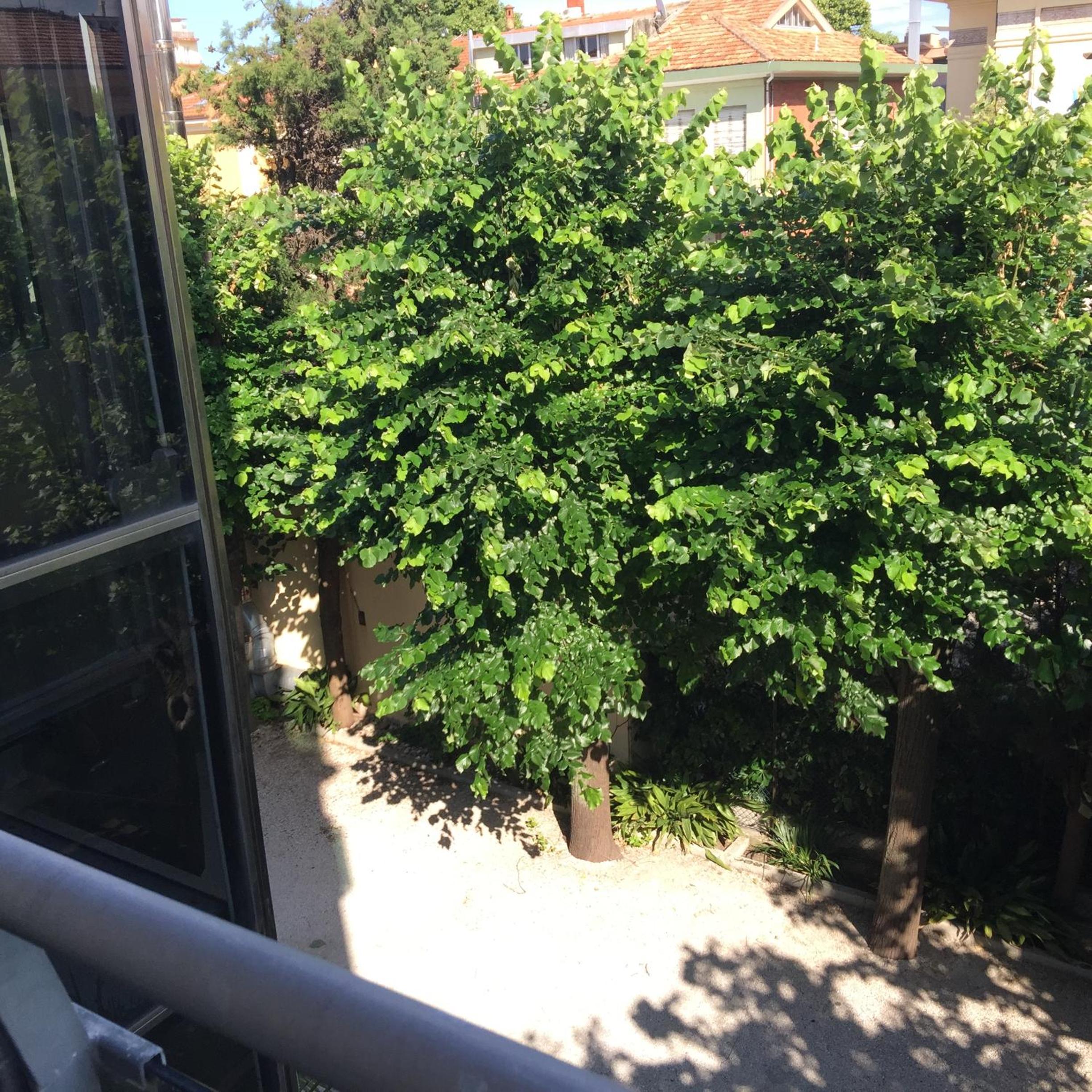 Фото Hotel Athena