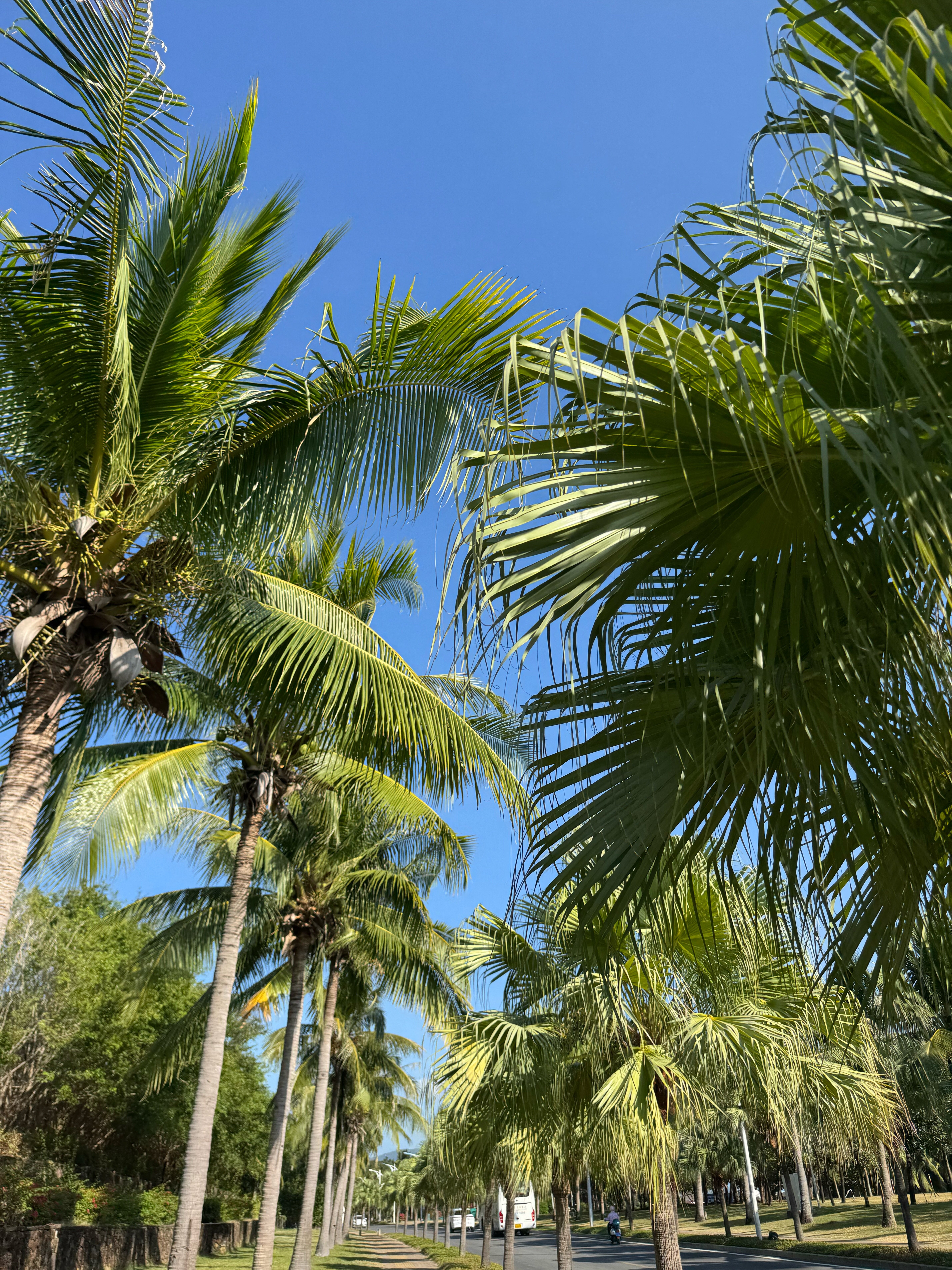 Фото Huayu La Floret Resort Yalong Bay