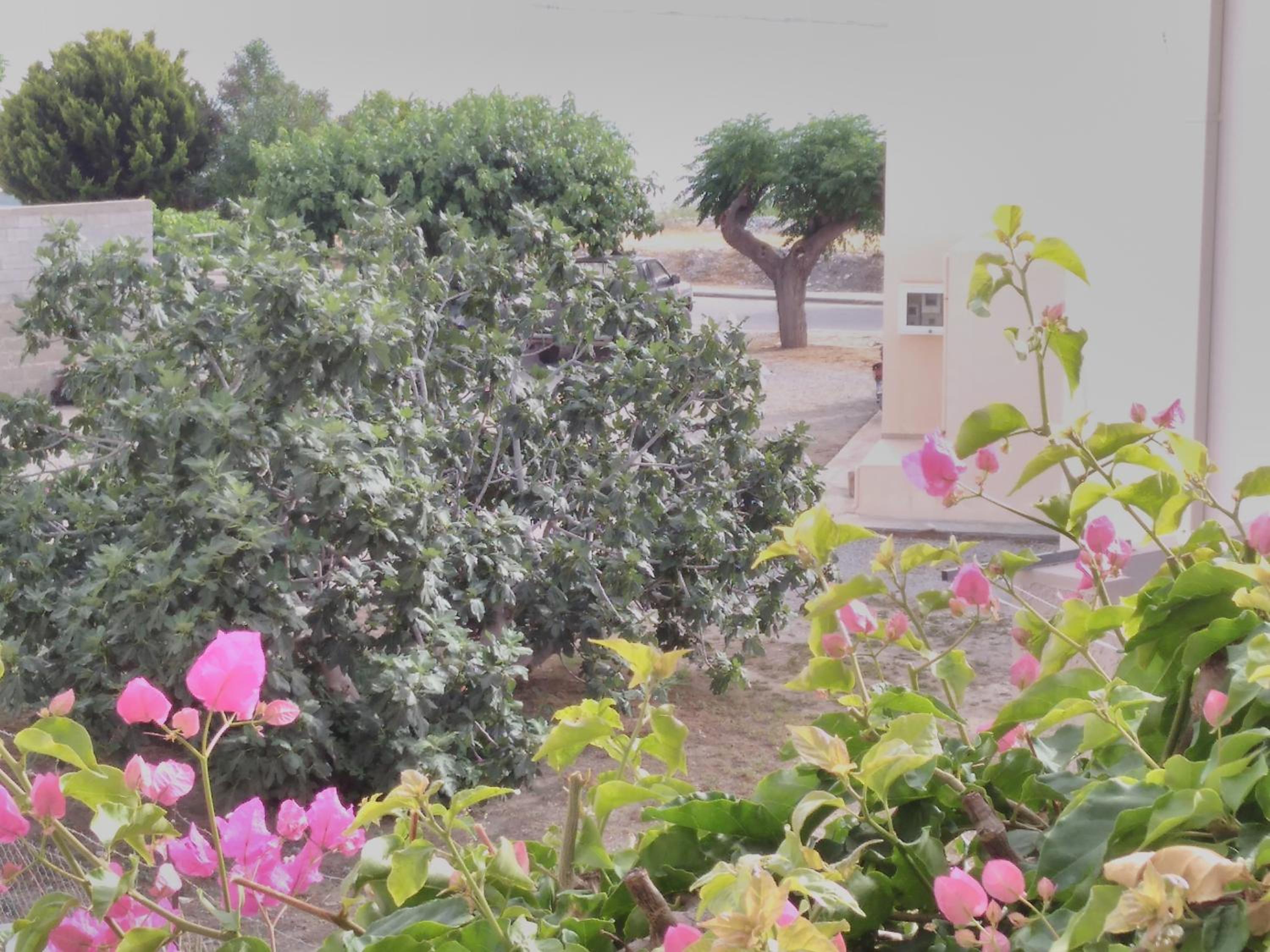 Фото Maria Studios and Apartments