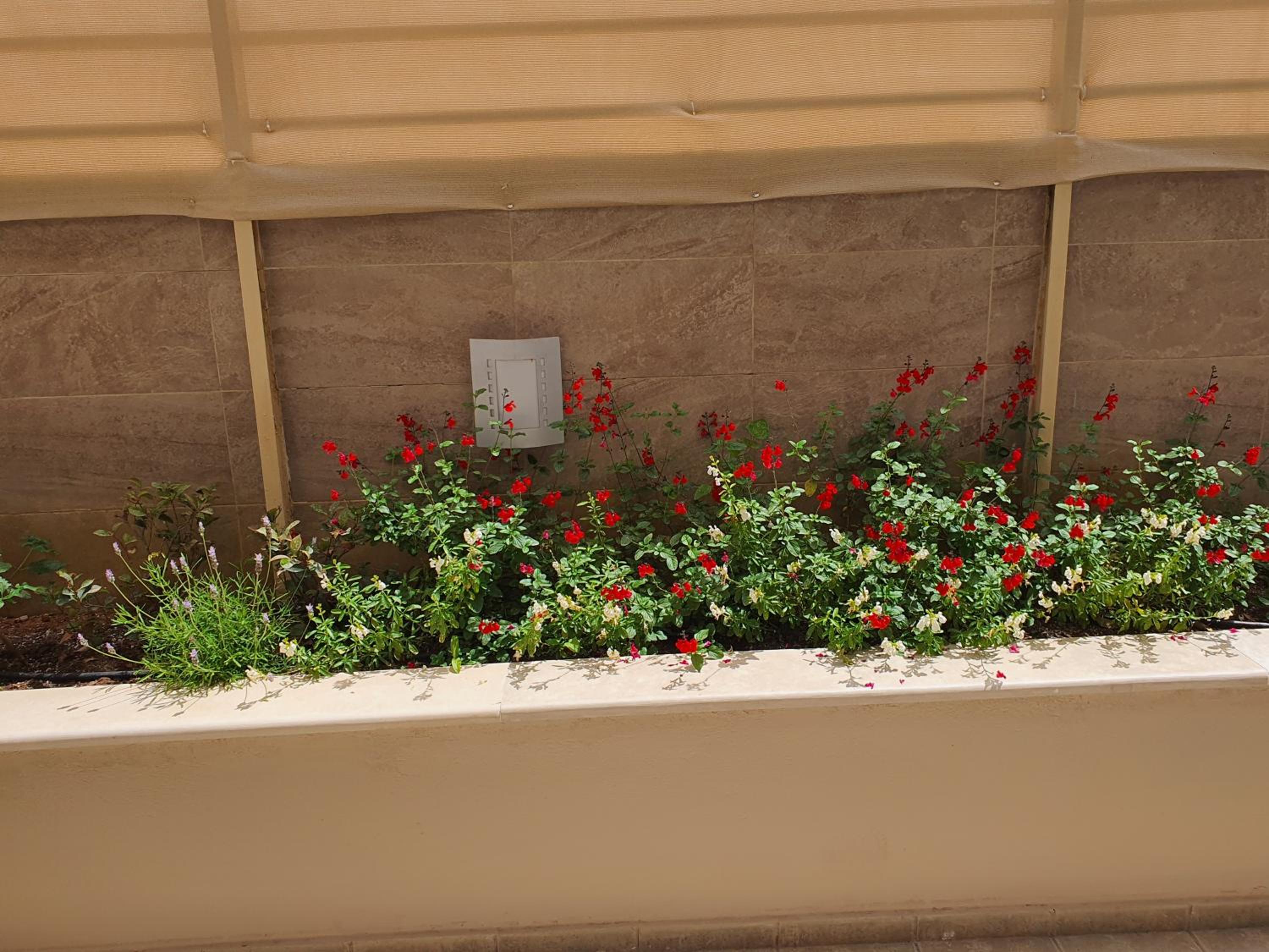 Фото Zannis Hotel