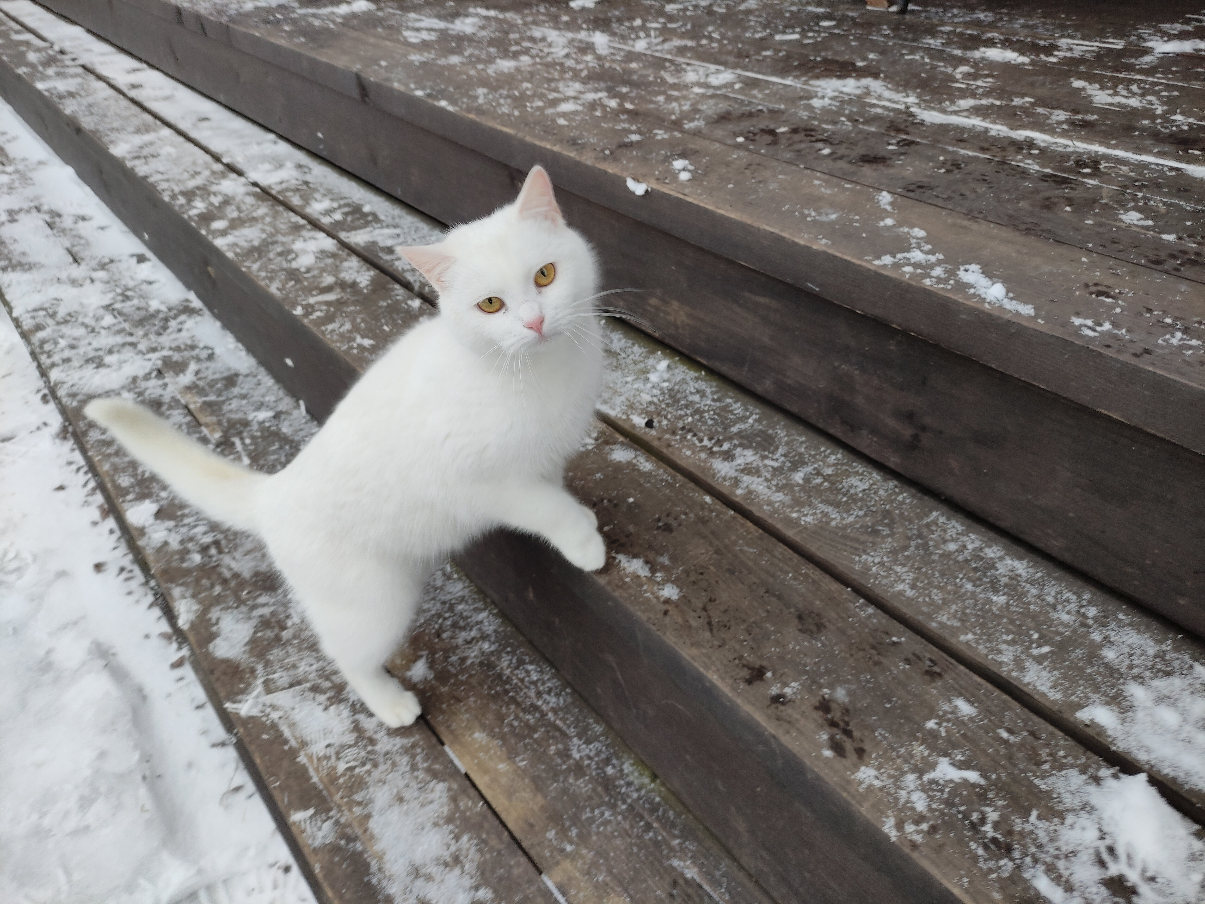 Фото Лужайкино