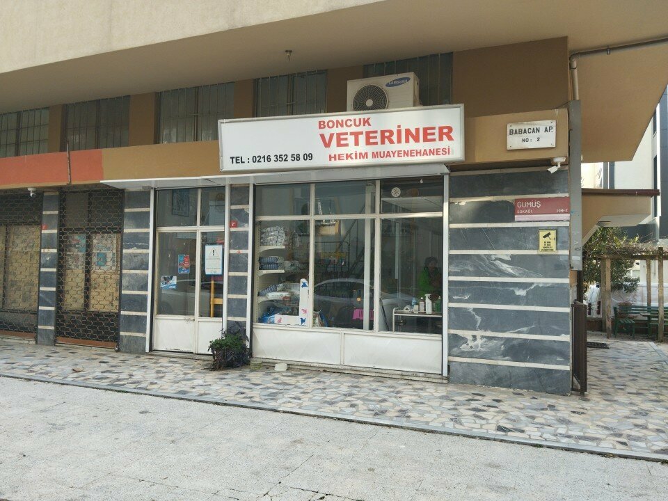 Ветеринарная клиника Boncuk Veteriner Kliniği, Стамбул, фото