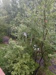 Общежитие № 28 (8-й квартал, 28), общежитие в Железногорске‑Илимском