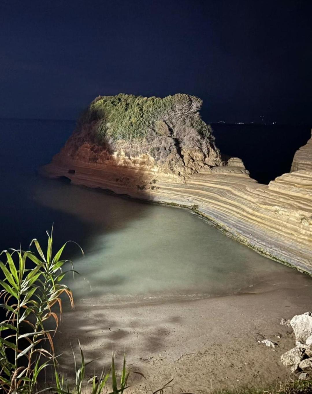 Фото Olive Grove Hotel